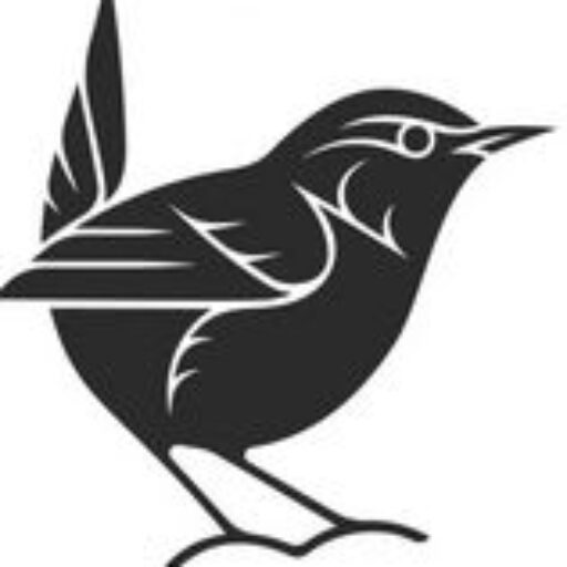 Website van Auke Miedema